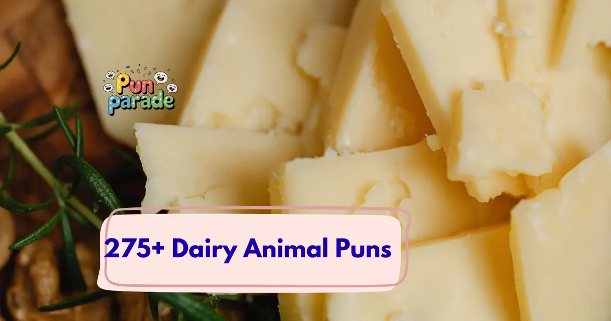 Dairy Animal Puns