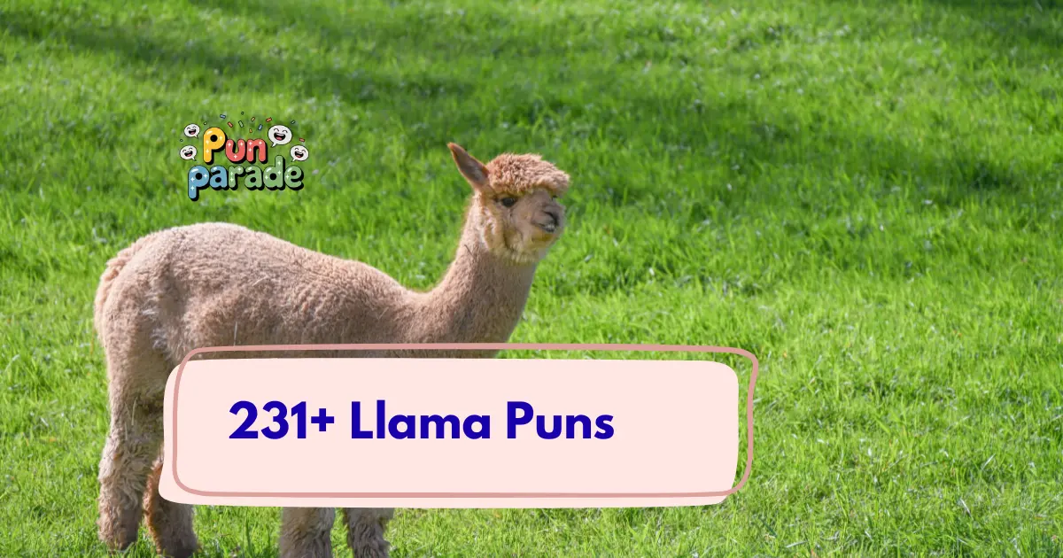 Llama Puns