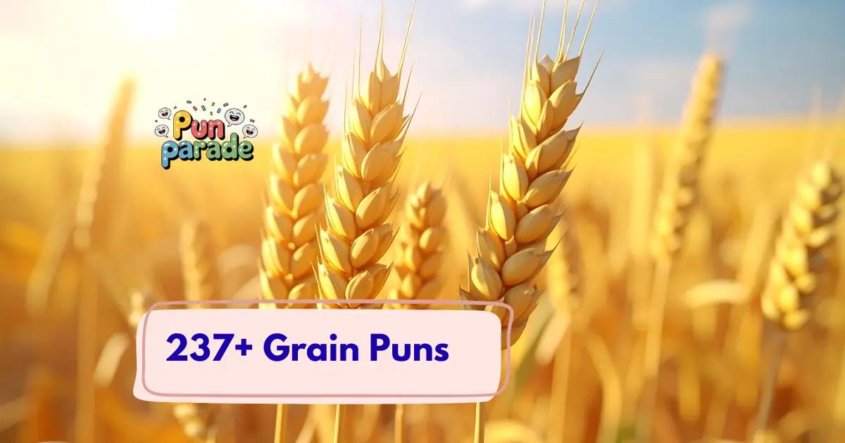 Grain Puns