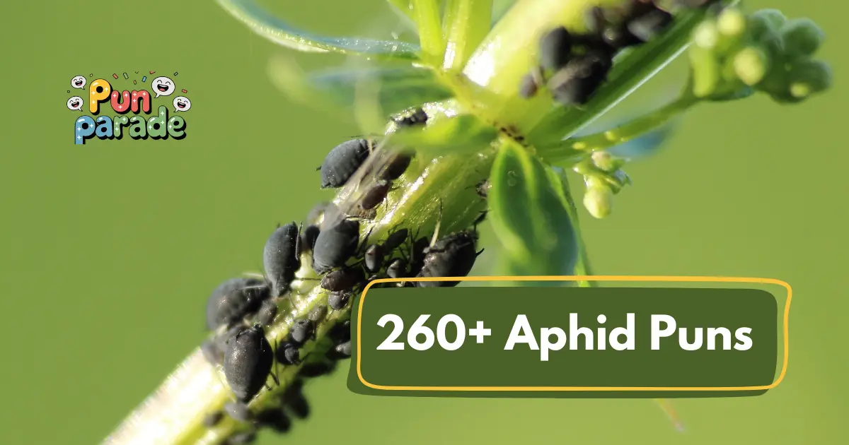 Aphid puns