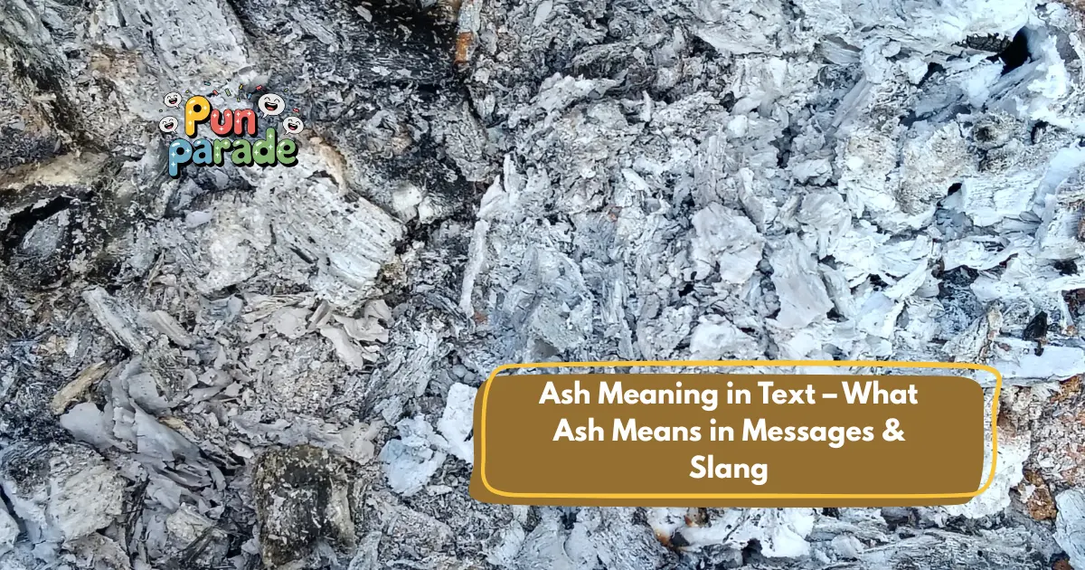 Ash Meaning in Text