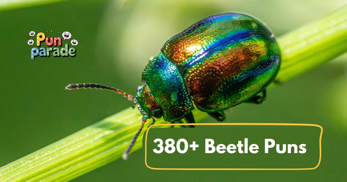 Beetle puns