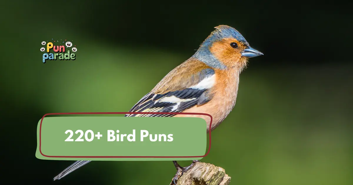 Bird Puns