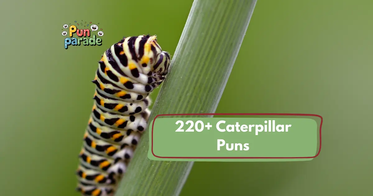 Caterpillar puns