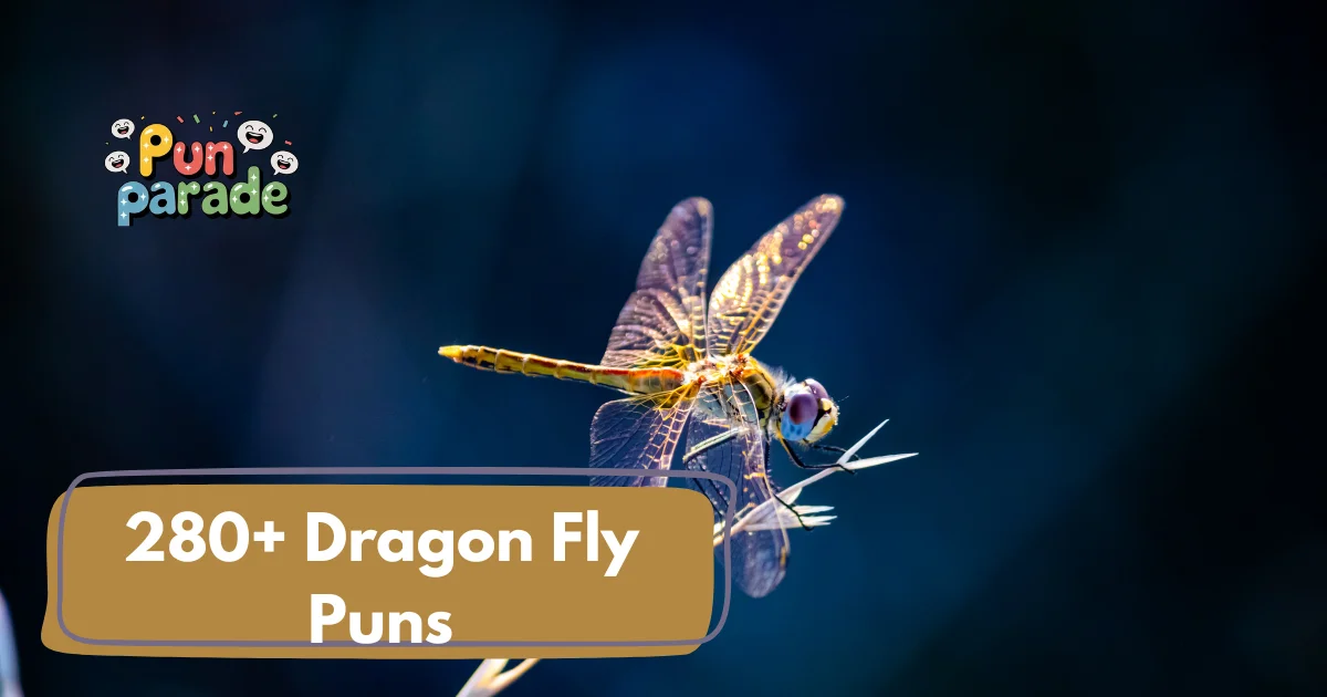 Dragon Fly puns