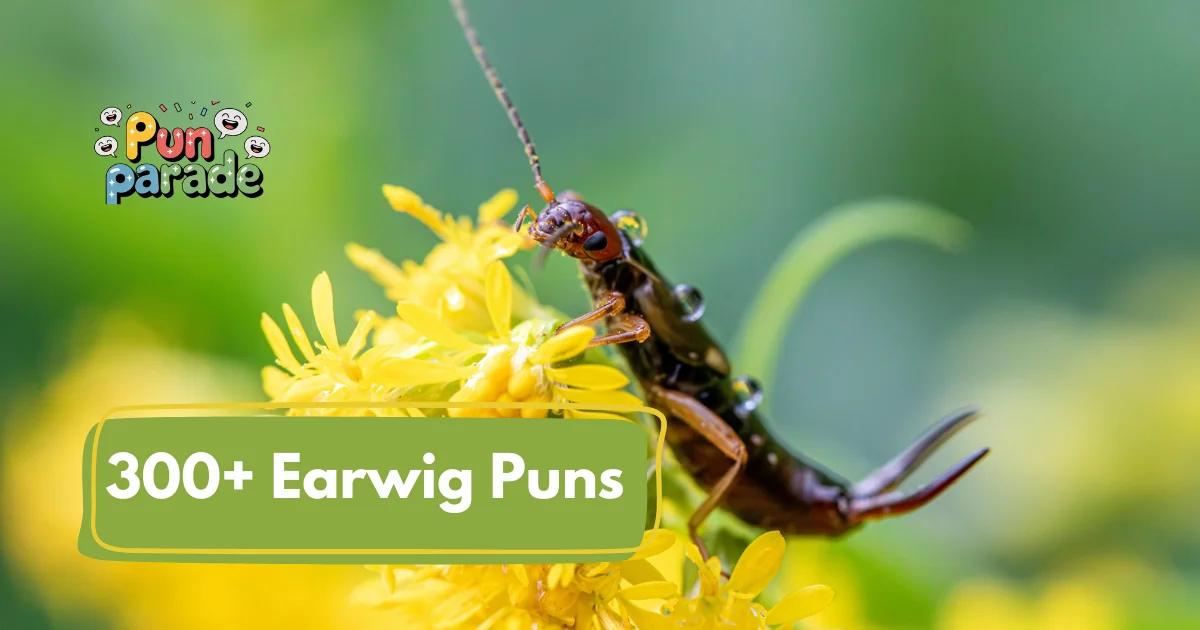Earwig puns