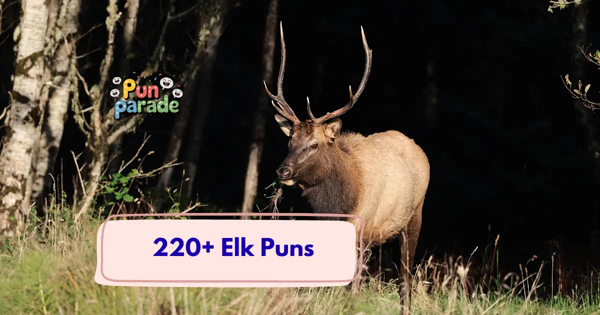 Elk Puns