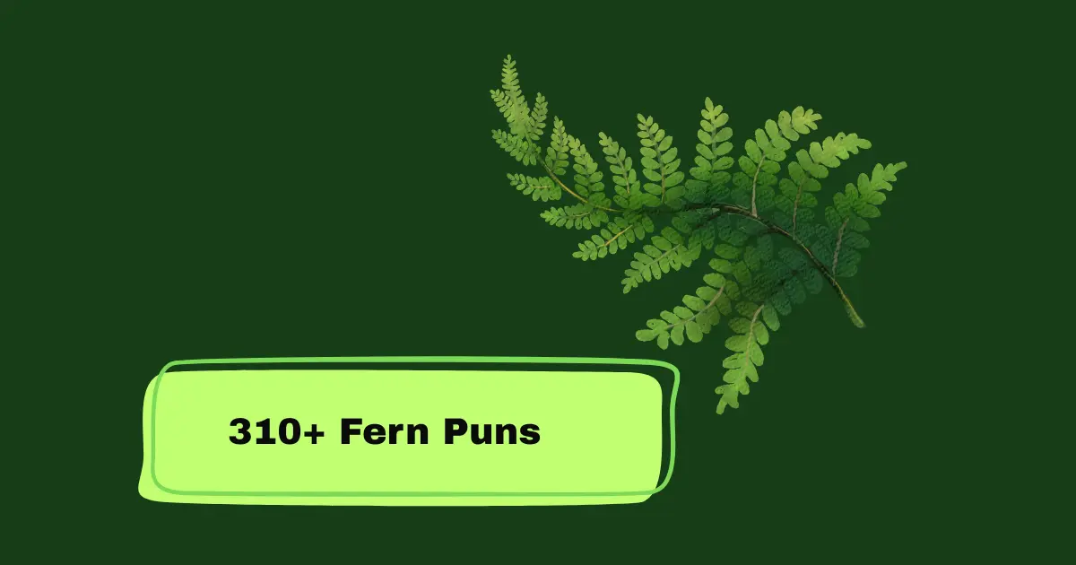 Fern Puns