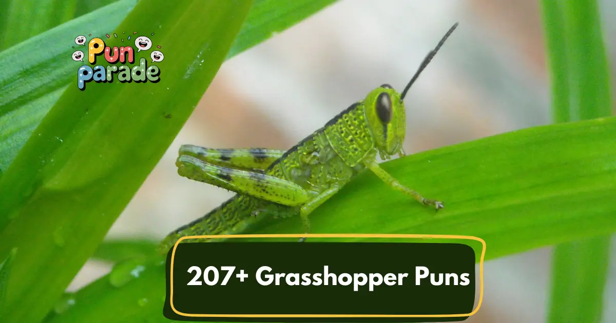 Grasshopper Puns