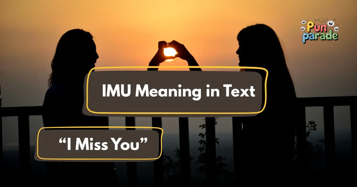 IMU Meaning in Text
