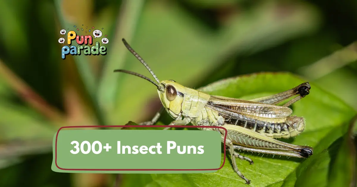 Insect Puns