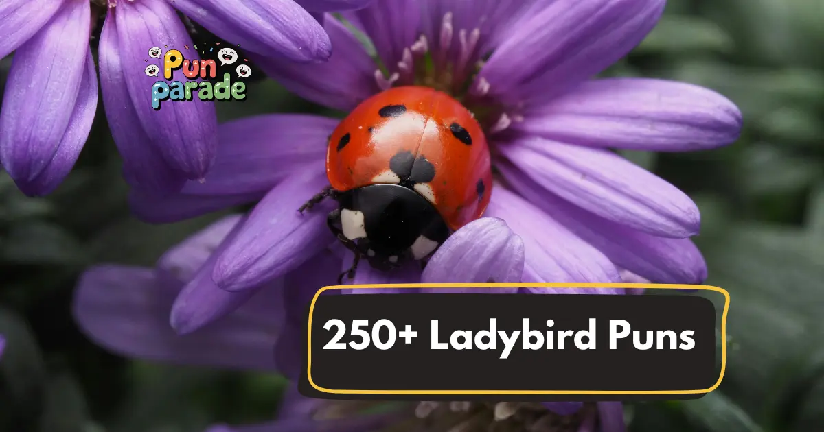 Ladybird Puns