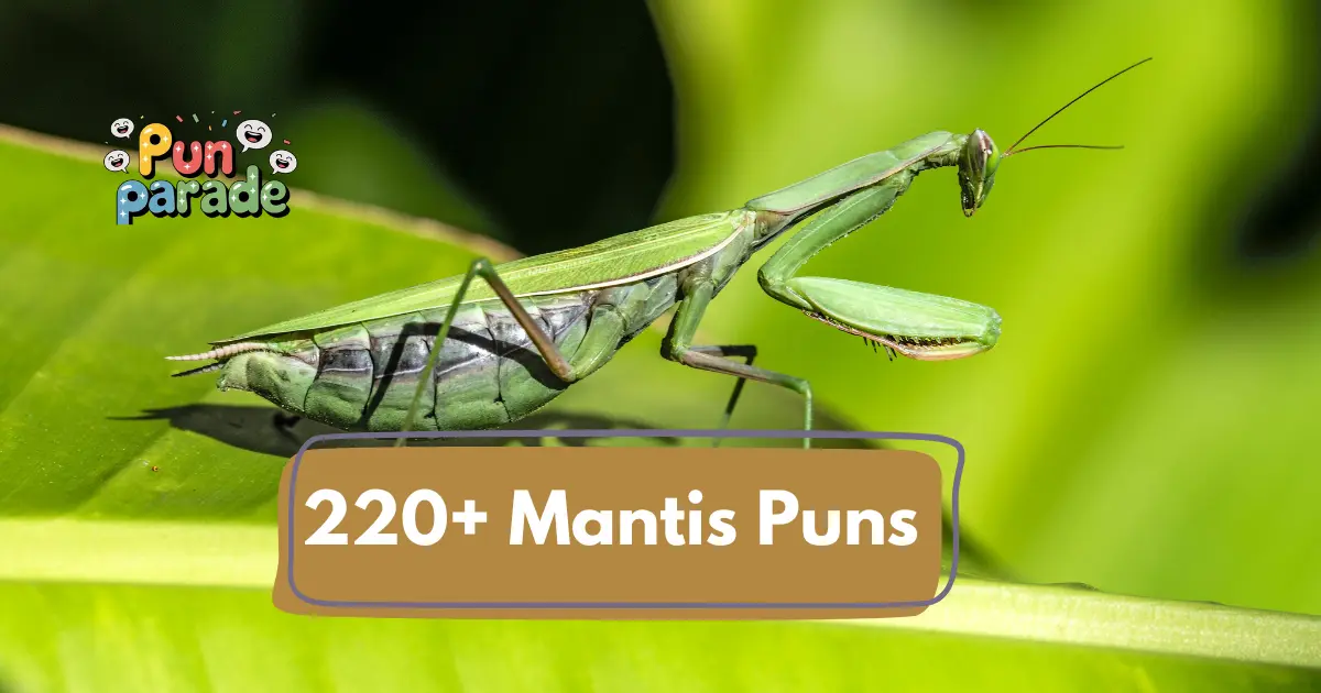 Mantis puns