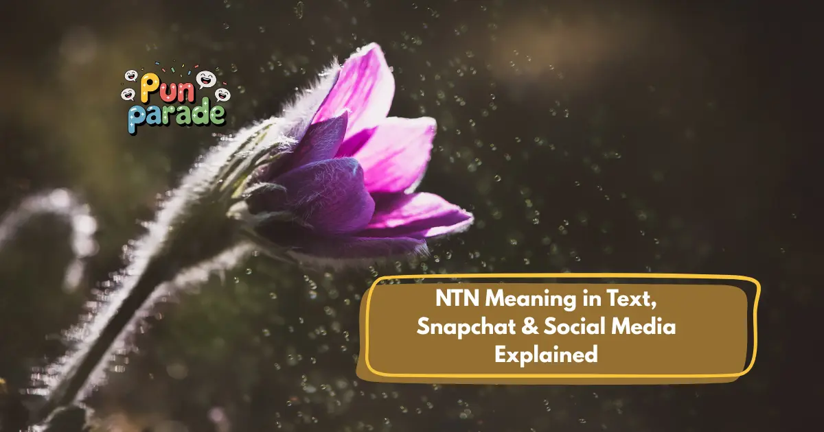 NTN Meaning in Text