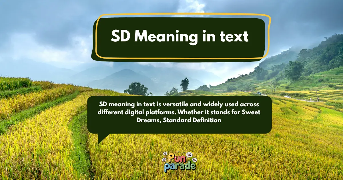 SD Meaning in text–
