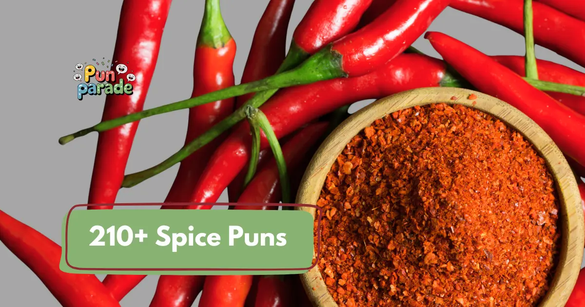 Spice Puns