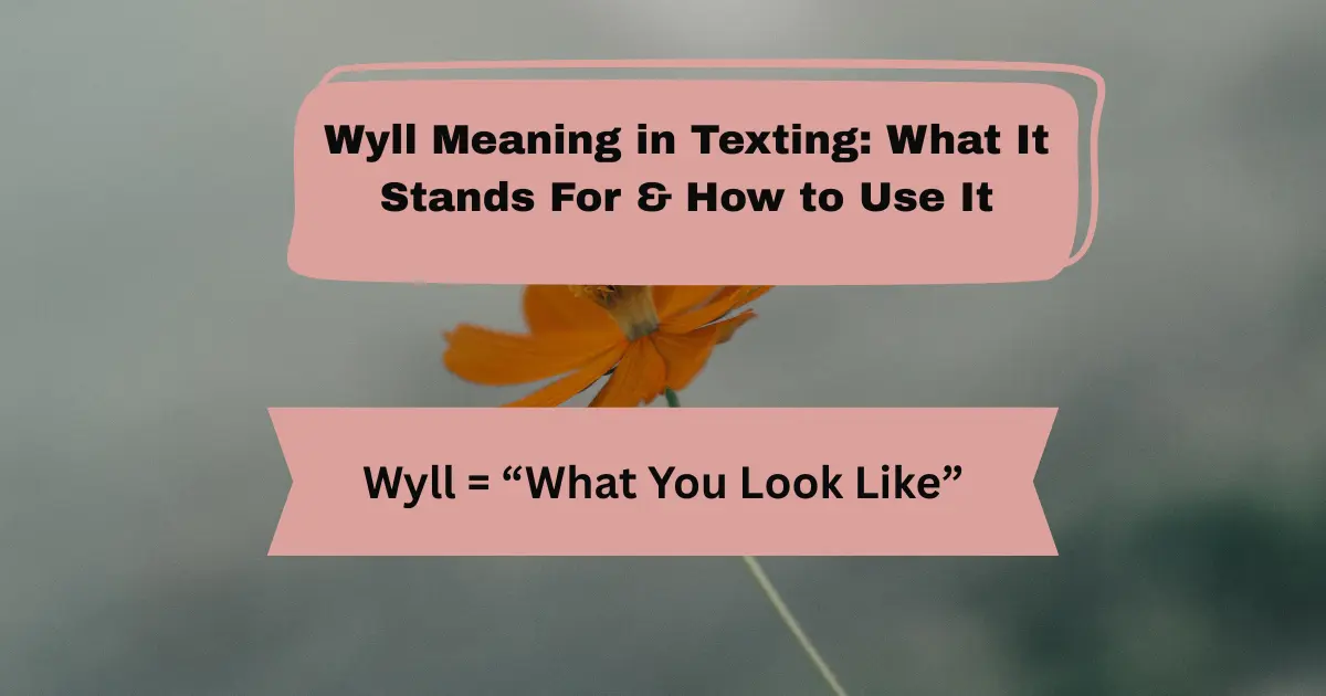 wyll-meaning-in-texting