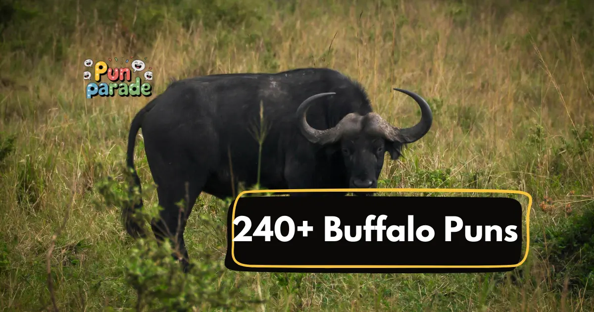 Buffalo Puns