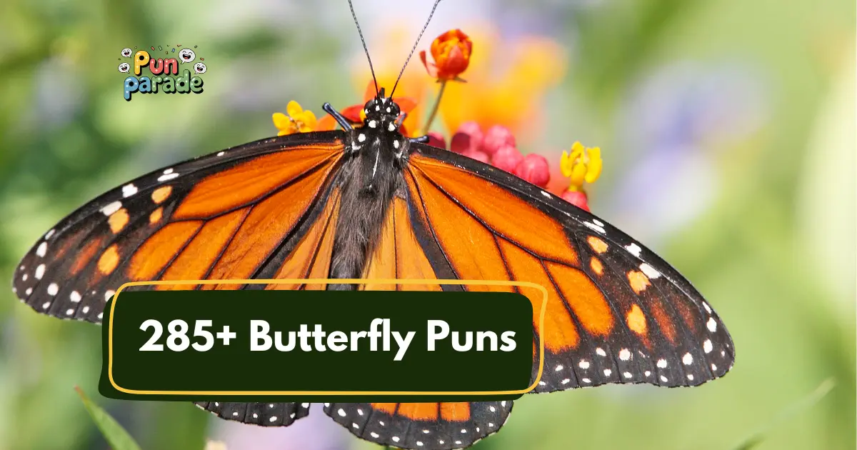 Butterfly Puns