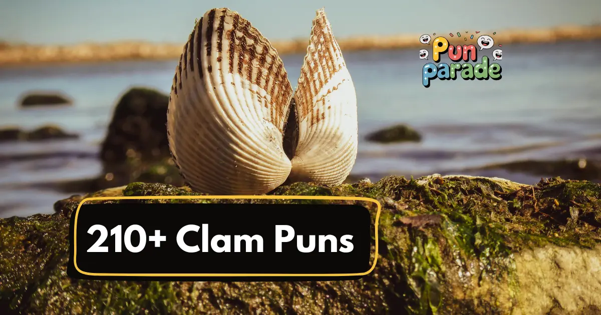 Clam Puns