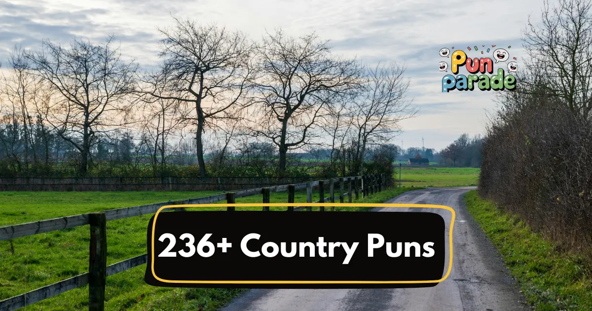 Country Puns