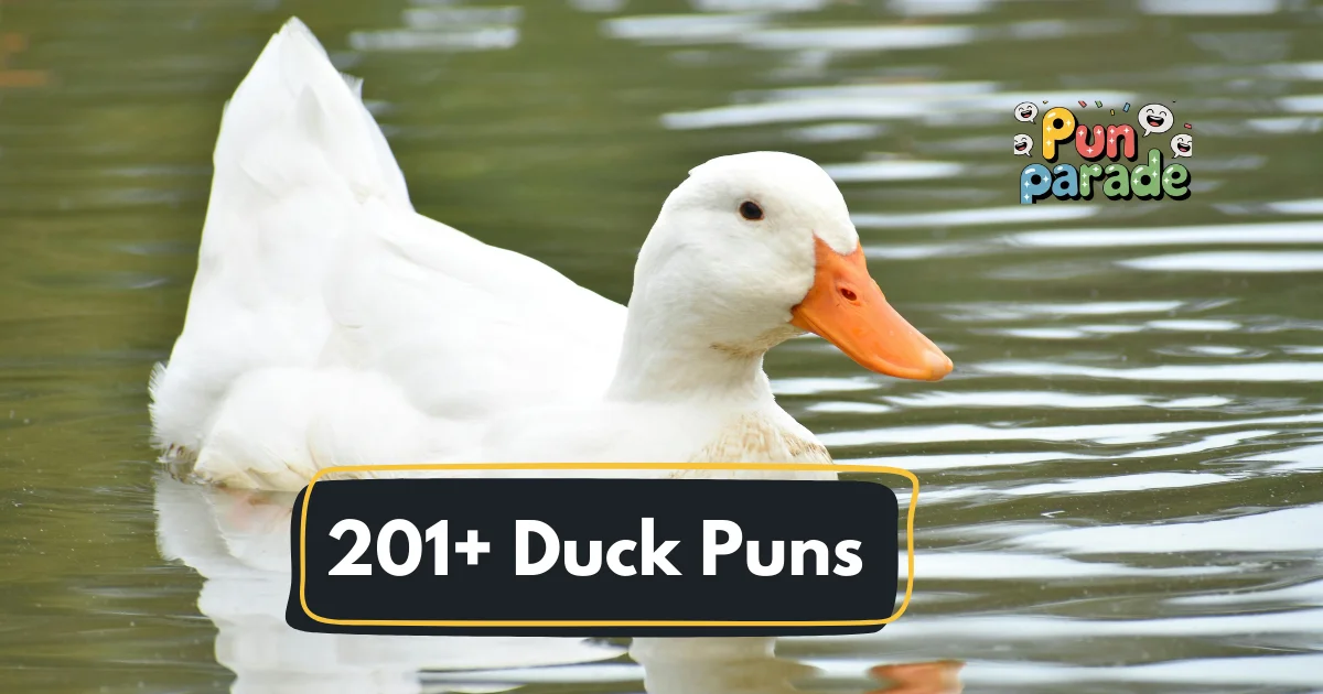 Duck Puns