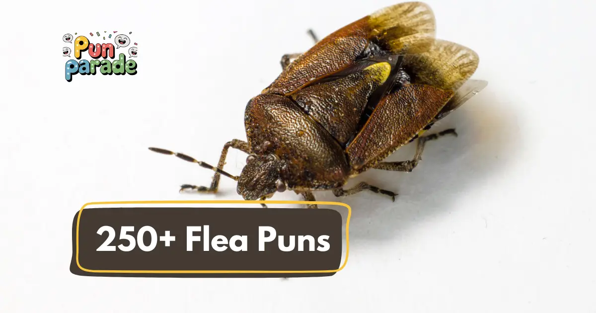Flea puns