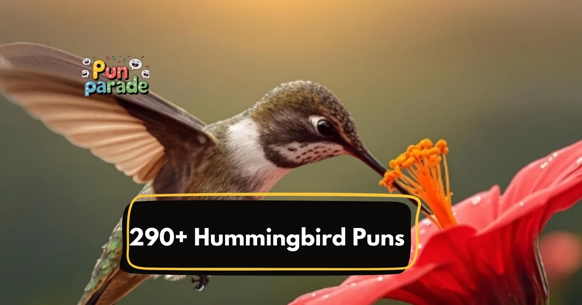 Hummingbird Puns