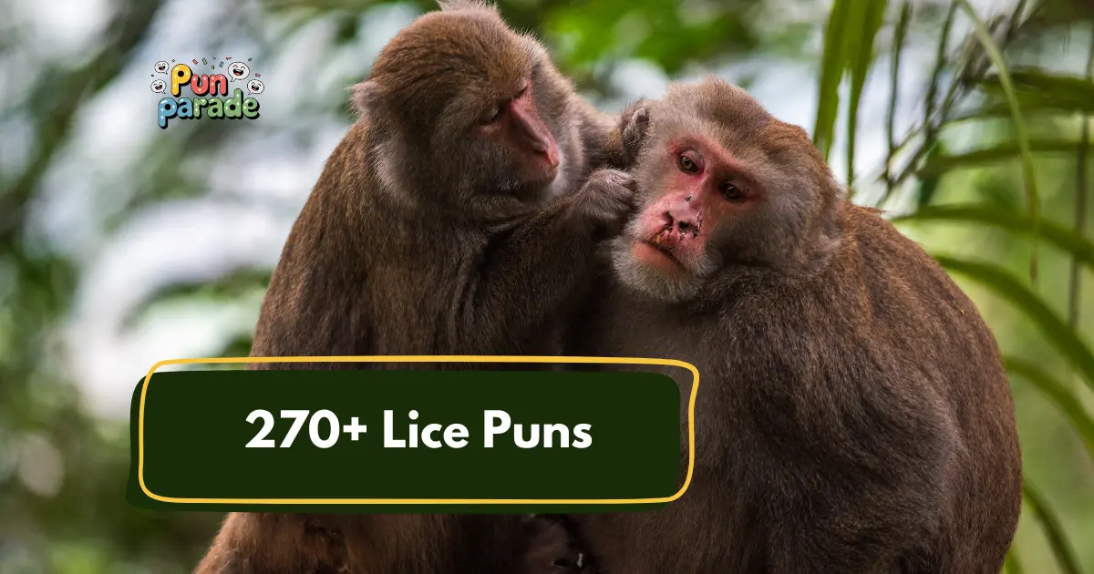 Lice Puns