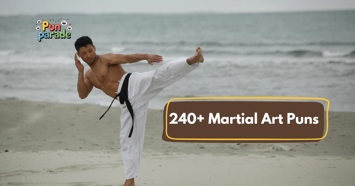 _Martial Art Puns