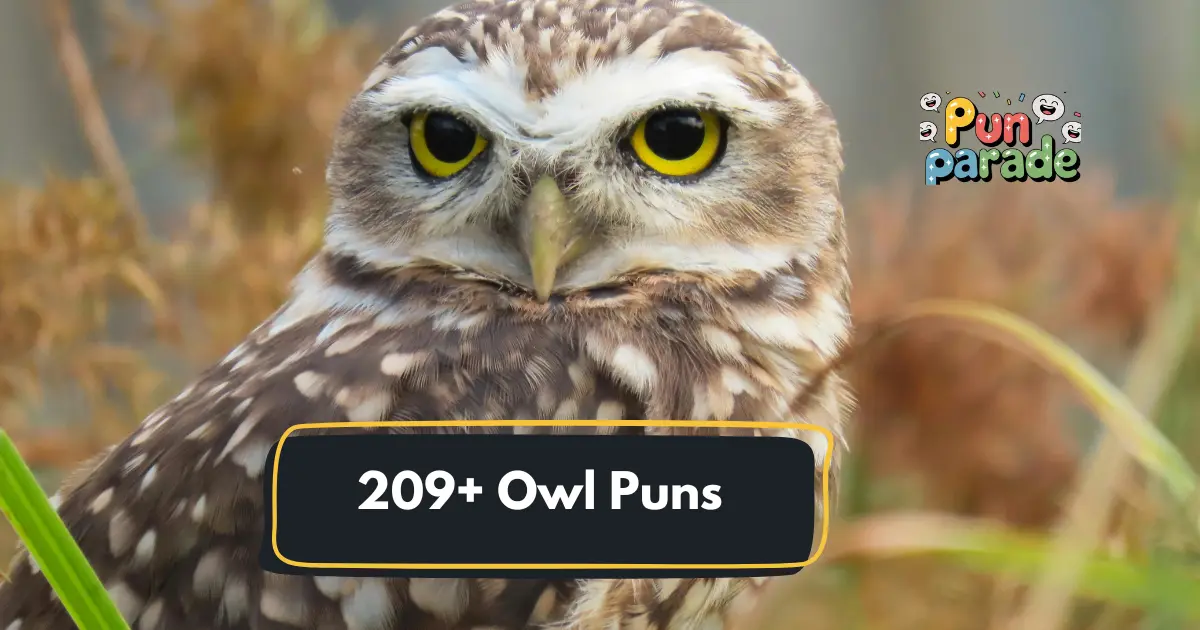 Owl Puns
