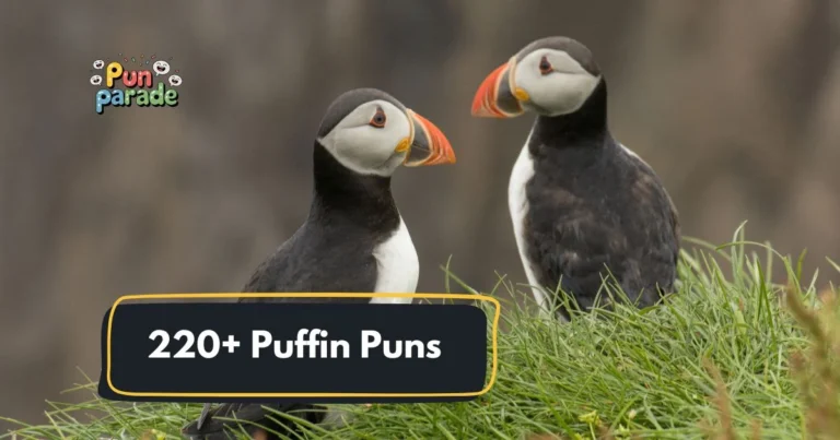 Puffin Puns