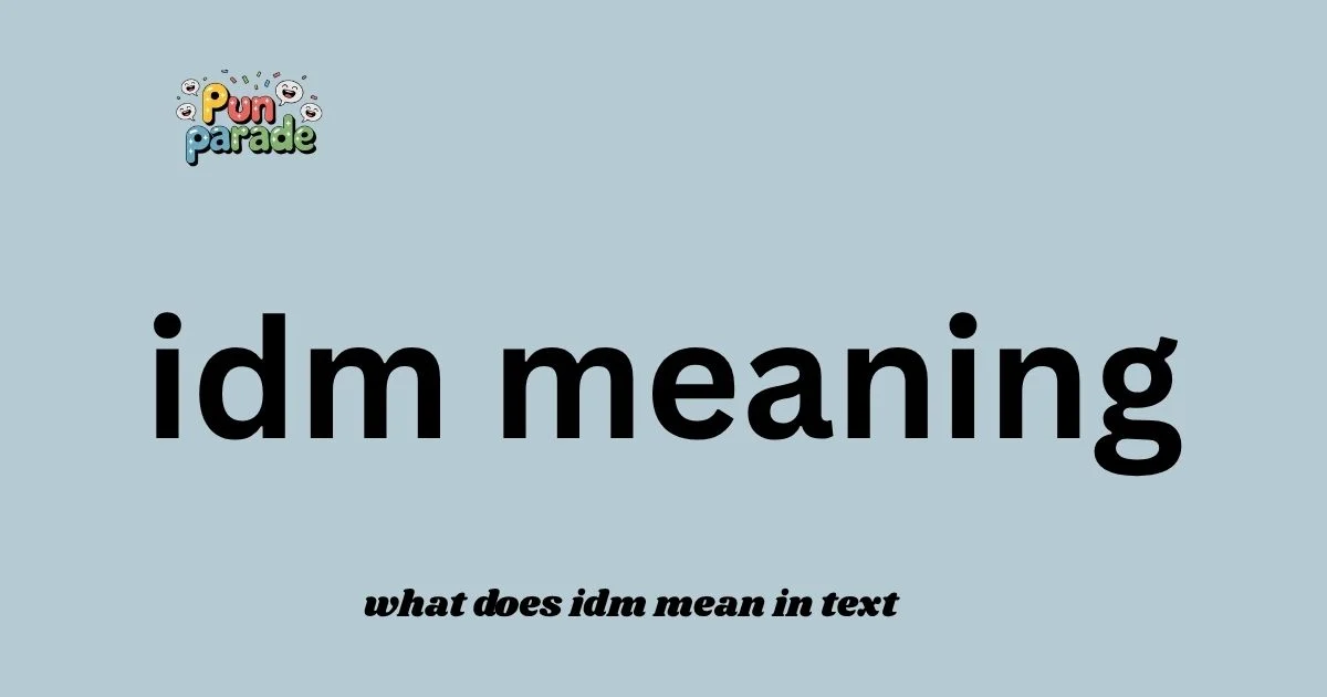 what does idm mean in text