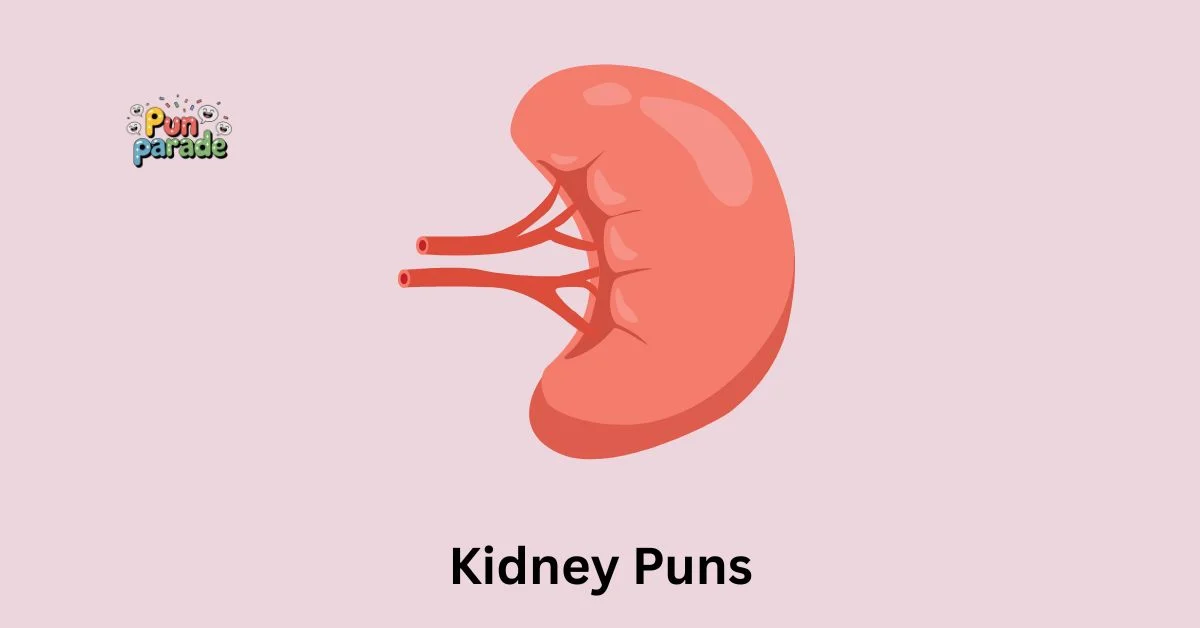Kidney Puns