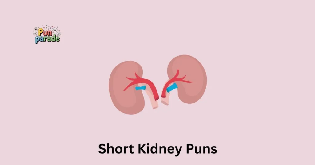 Short Kidney Puns