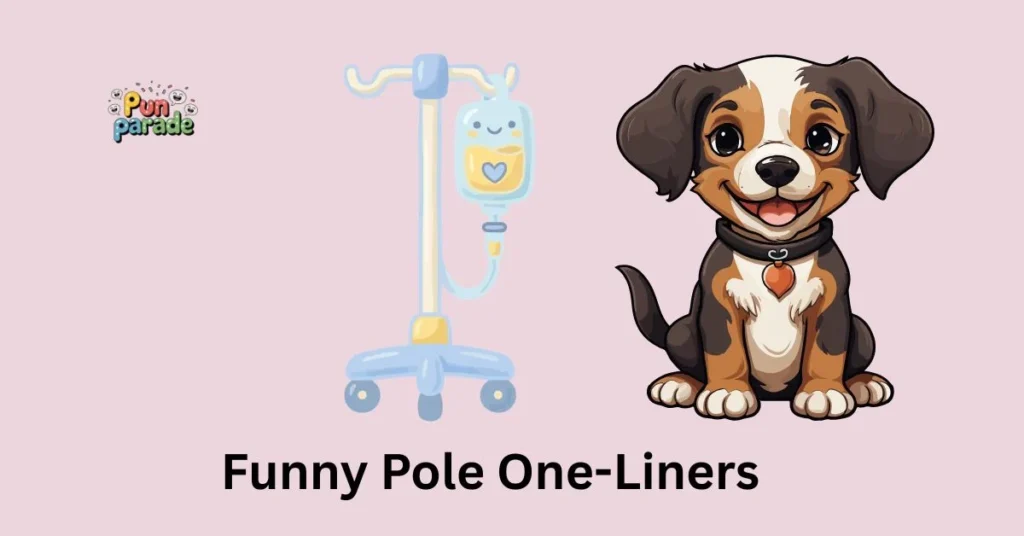 Funny Pole One-Liners