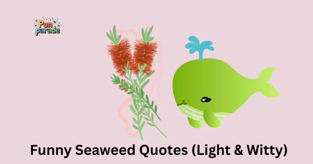 Funny Seaweed Quotes (Light & Witty)