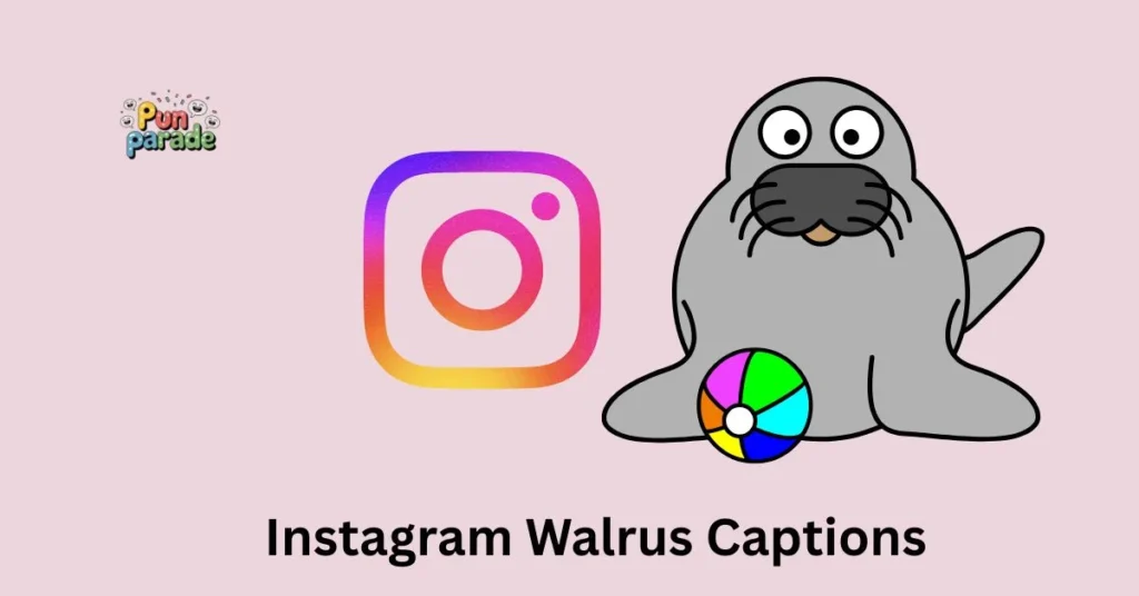Instagram Walrus Captions