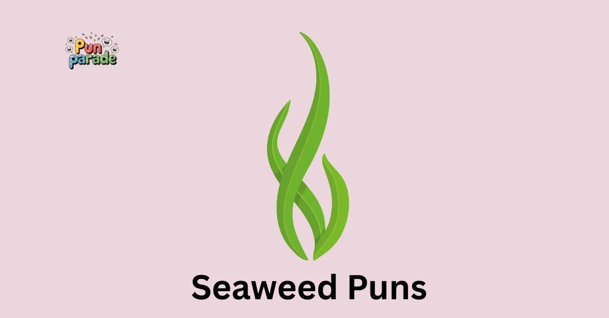 Seaweed Puns