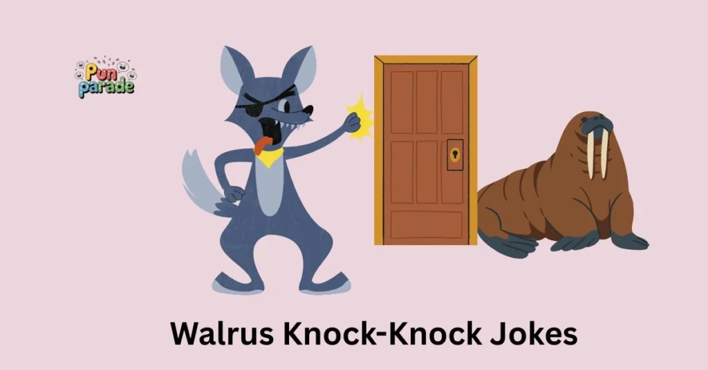 Walrus Knock-Knock Jokes