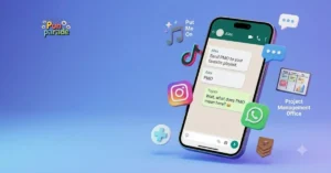 PMO Mean in Text